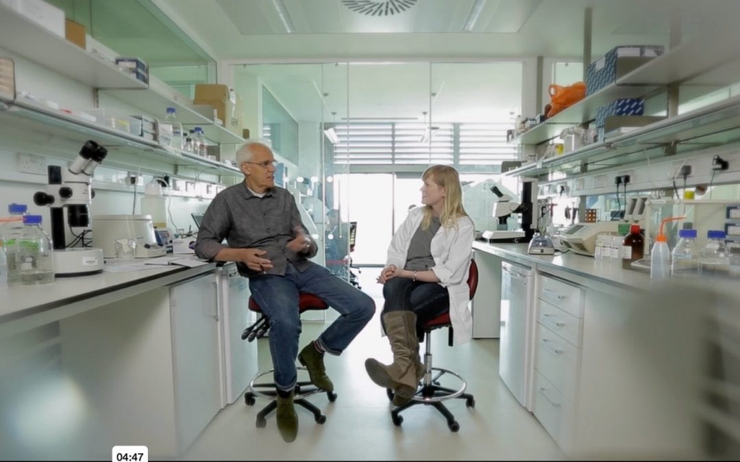 Documentaires 'Meetings of Minds'
